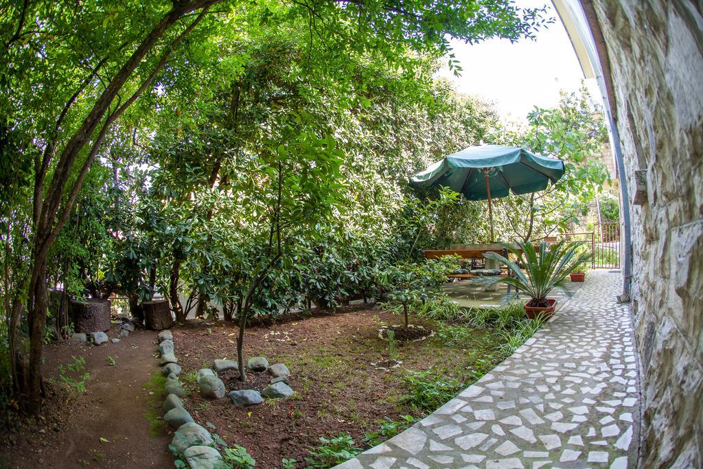 Azur Apartment 부드바 외부 사진